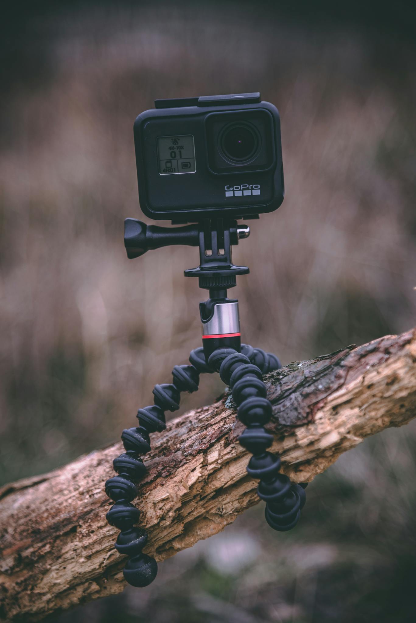 Close-up of an action camera on a flexible tripod mounted on a branch outdoors.